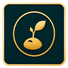 Seed Partner